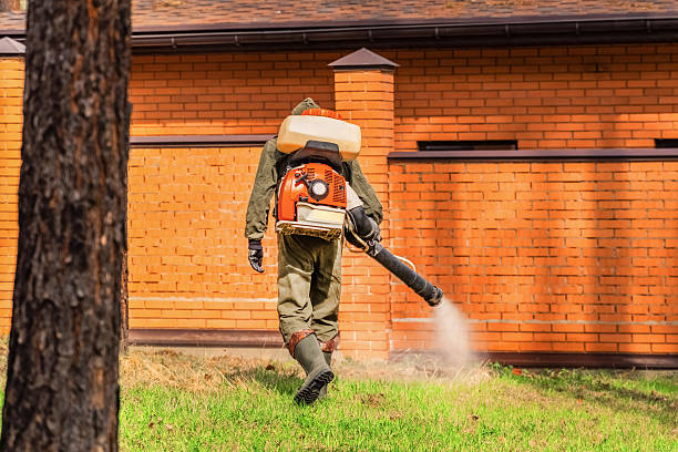 Trusted Rodent Control service in Oro Valley, AZ - Nex Pest Control